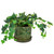 5" Green and Tan Ceramic Leaf Pattern Planter With Reservoir
