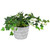 5.5" Small Matte Gray Ceramic Geometric Pattern Planter