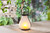 8.62" Black Antique Style LED Lantern with Frosted Glass Globe Body