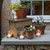 Set of 12 White Extra Large Citronella Scented Tea Light Candles 2.25"