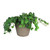 8" Brown Ribbed Rim Round Eco-Friendly Flower Planter