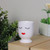4 inch Creamy White Doll Face with Lipstick Small Glass Planter