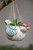 6.25" White and Blue Small Bird Hanging Planter