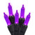 Set of 60 Purple LED Mini Halloween Lights - Black Wire