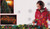 Set Of 150 Multi Color Net Style Christmas Lights 24 Square Feet #ES66-300