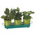 Pack of 2 Modern Style Lime Green and Turquoise Flower Pot Sets 15.25"