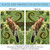 Brown and Orange Flicker Rectangular Outdoor Large House Flag 28" x 40"