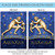 Blue and Gold Aquarius Zodiac Outdoor House Flag 40" x 28"