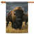 Black and Brown Where the Buffalo Roam Outdoor House Flag 40" x 28"