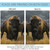 Black and Brown Where the Buffalo Roam Outdoor House Flag 40" x 28"
