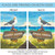 Blue and Brown Beach Bird Outdoor House Flag 40" x 28"