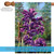 Purple and Green Blooming Irises Outdoor House Flag 40" x 28"