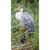 10.75" Standing Heron Outdoor Garden Statue