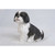 Shih Tzu Puppy Outdoor Garden Statue - 11"