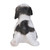 14.5" Black Lying Puppy Shih Tzu Outdoor Garden Statue