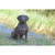 21.25" Labrador Retriever Dog Outdoor Garden Statue