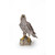 15.5" Northern Goshawk on Rock Outdoor Garden Statue