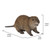 13.75" American Beaver Cub Outdoor Garden Statue