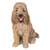 Sitting Cockapoo Dog Outdoor Garden Statue - 16.75" - Brown