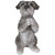 8.25" Praying Schnauzer Puppy Outdoor Garden Statue