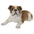 20.25" Lying Bulldog Outdoor Garden Statue