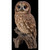 12.25" Owl on Stump Outdoor Garden Statue