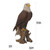 15.5" Medium Bald Eagle On Stamp Outdoor Garden Statue