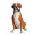 18.5" Sitting Boxer Dog Outdoor Garden Statue