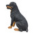 20.75" Sitting Rottweiler Dog Outdoor Garden Statue