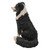 19.75" Border Collie Sitting Outdoor Garden Statue