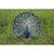 22.50" Peacock with Feathers Out Outdoor Garden Statue
