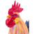 24" Standing Garden Rooster Outdoor Garden Statue