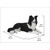 29.5" Lying Border Collie Outdoor Garden Statue