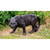 31.25" Cautious Panther Stalking Outdoor Garden Statue