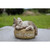 5.75" Sleeping Kitten with Welcome Sign Outdoor Garden Statue