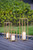 Basilica Candle Lanterns - 18.75" - Gold - Set of 3
