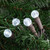 LED G12 Berry Christmas Lights - 16' Brown Wire - Pure White - 50 ct