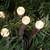 LED G12 Berry Christmas Lights - 16' Brown Wire - Warm White - 50 ct