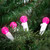 LED G12 Berry Christmas Lights - 16' White Wire - Pink - 50 ct