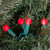 LED G12 Berry Christmas Lights - 16' Green Wire - Red - 50 ct