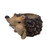 Henry the Hedgehog Outdoor Garden Planter - 12.5" - Brown and Gray