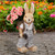 Boy Rabbit Outdoor Easter Garden Planter - 19.25"