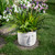 Small Face Ceramic Outdoor Garden Planter - 8.5"