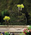 High Wheel Bicycle Outdoor Patio Plant Stand - 33.75" - Bronze and Black