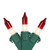 Mini Christmas Light Set - Clear with Red Tips - 20.25' Green Wire - 100ct