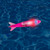 LED Lighted Torpedo Swimming Pool Diving Toys - 5" - Set of 3