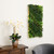 Hawaiian Islands Artificial Rectangular Framed Living Wall Panel - 40"