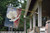 Painted Poppy Outdoor House Flag 40" x 28"