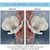 Painted Poppy Outdoor House Flag 40" x 28"