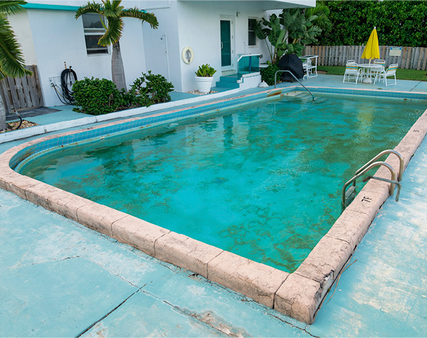 Rid your pool of algae